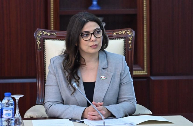 "Armenia, by deporting Azerbaijanis from Western Azerbaijan, has committed a crime against humanity"