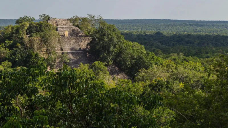 A lost Maya city has been discovered deep within the jungles of Mexico